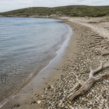 shore